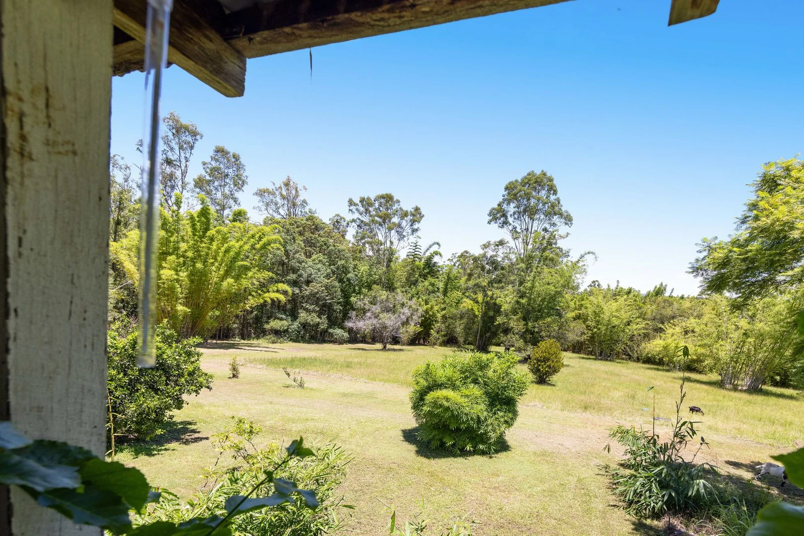 Additional image 22 of 1171 Eumundi - Kenilworth Road, Belli Park QLD 4562