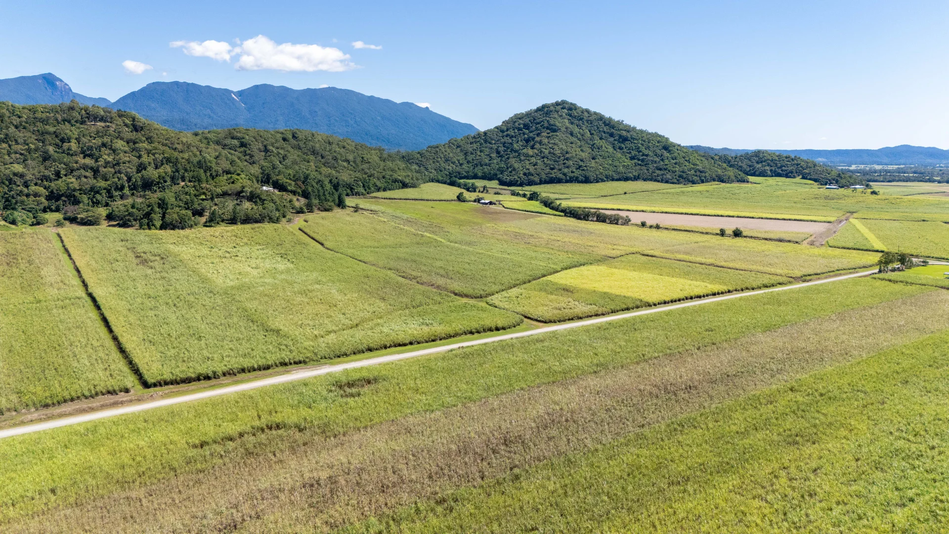 Additional image 41 of 93 Santarossa Road, Cooya Beach QLD 4873