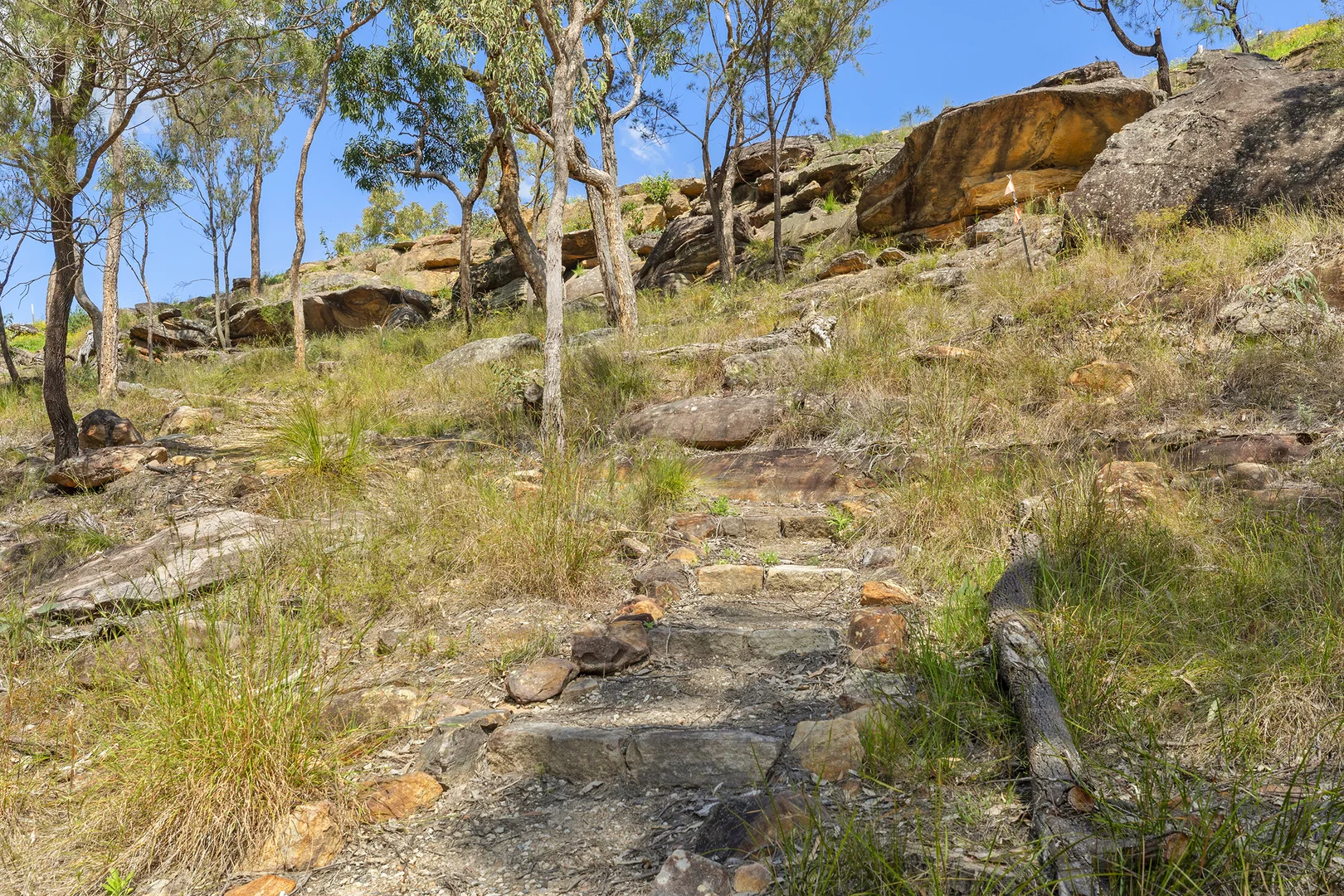 Additional image 10 of 14 Bloodwood Place, Kenthurst NSW 2156