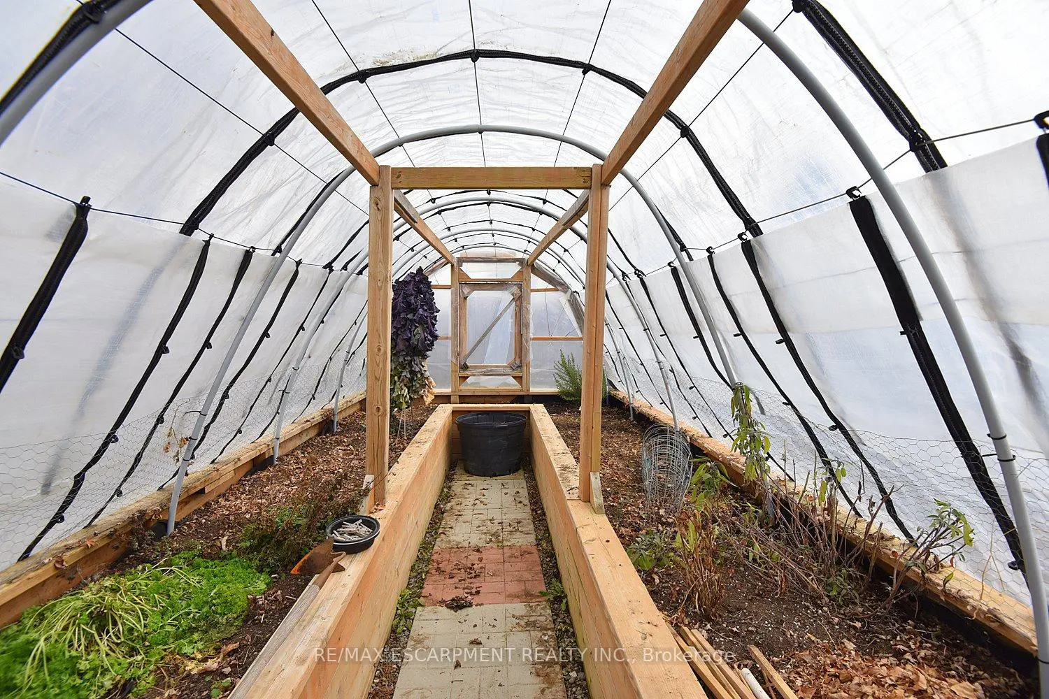 Additional image 16 of 34 Davis Street