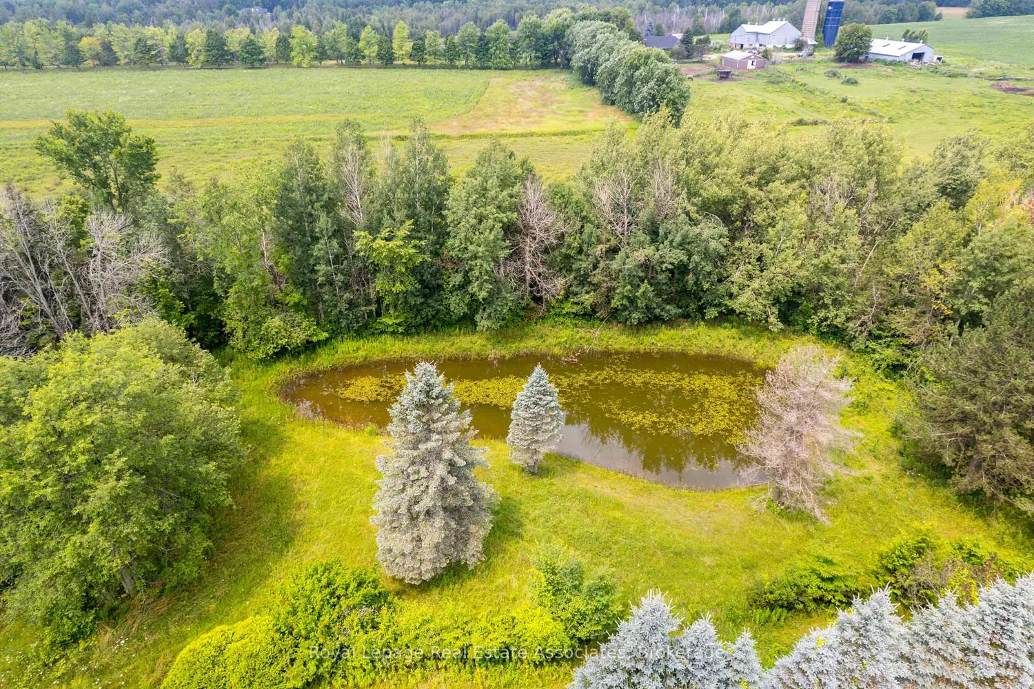 Additional image 13 of Pt 25 Fourth Line