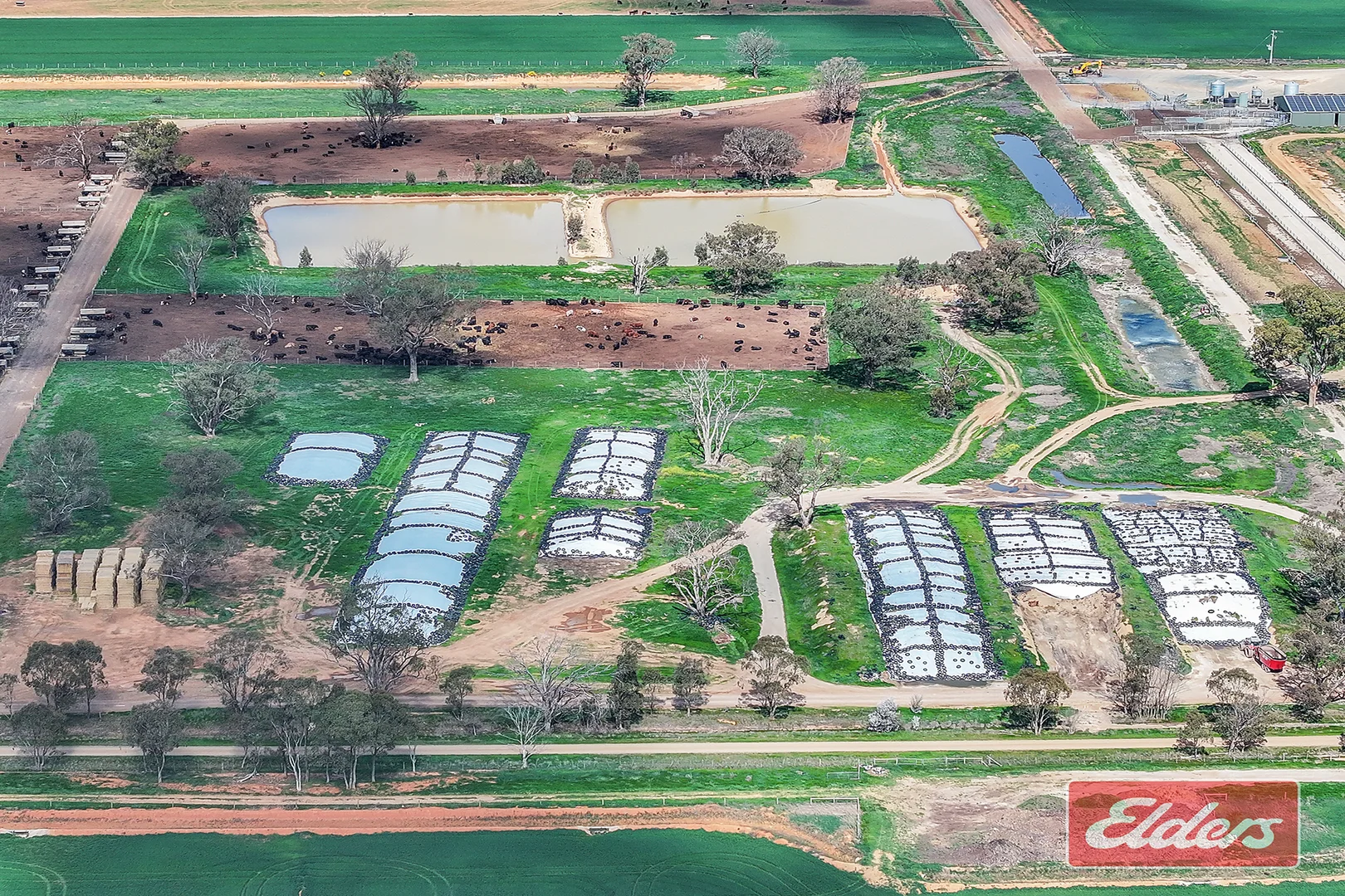 Additional image 9 of 1350 Ryan Road, Kyabram VIC 3620