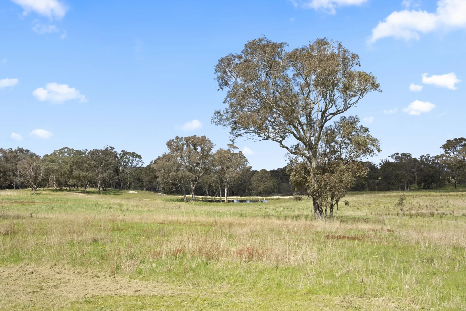 Additional image 5 of 1854 Range Road, Mummel NSW 2580