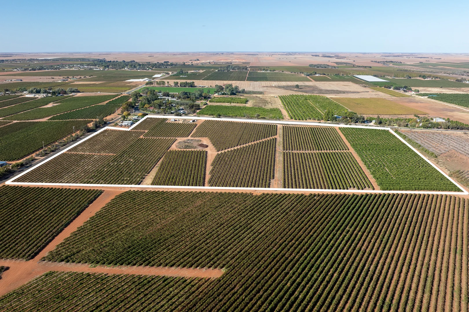 Additional image 6 of 2 Balfour Ogilvy Avenue, Loxton SA 5333