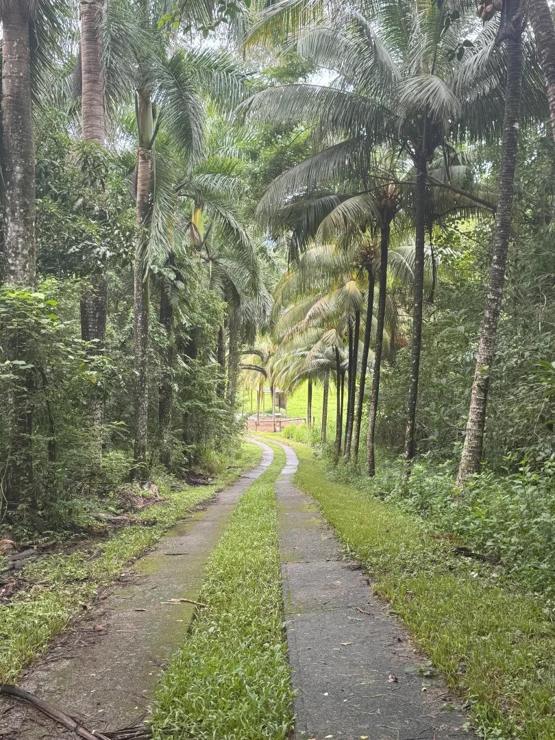 Additional image 13 of Gillies Range Road, Little Mulgrave QLD 4865