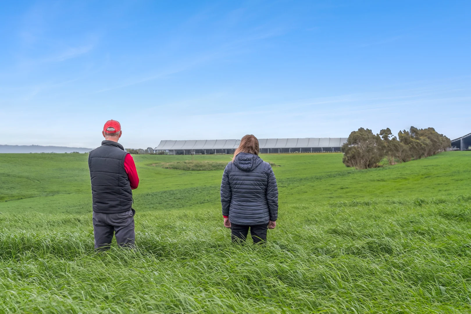 Additional image 26 of 520 Centre Road, Simpson VIC 3266