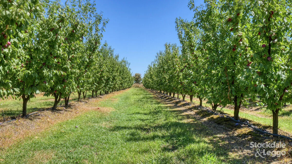 Additional image 21 of 645 New Dookie Road, Lemnos VIC 3631