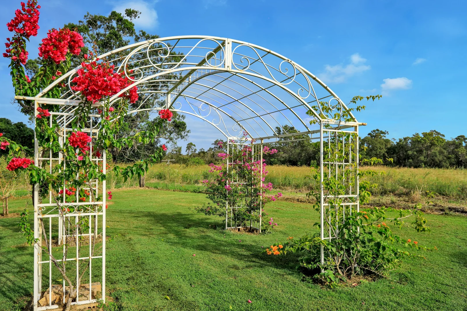 Additional image 23 of 1870 Gin Gin Road, South Kolan QLD 4670