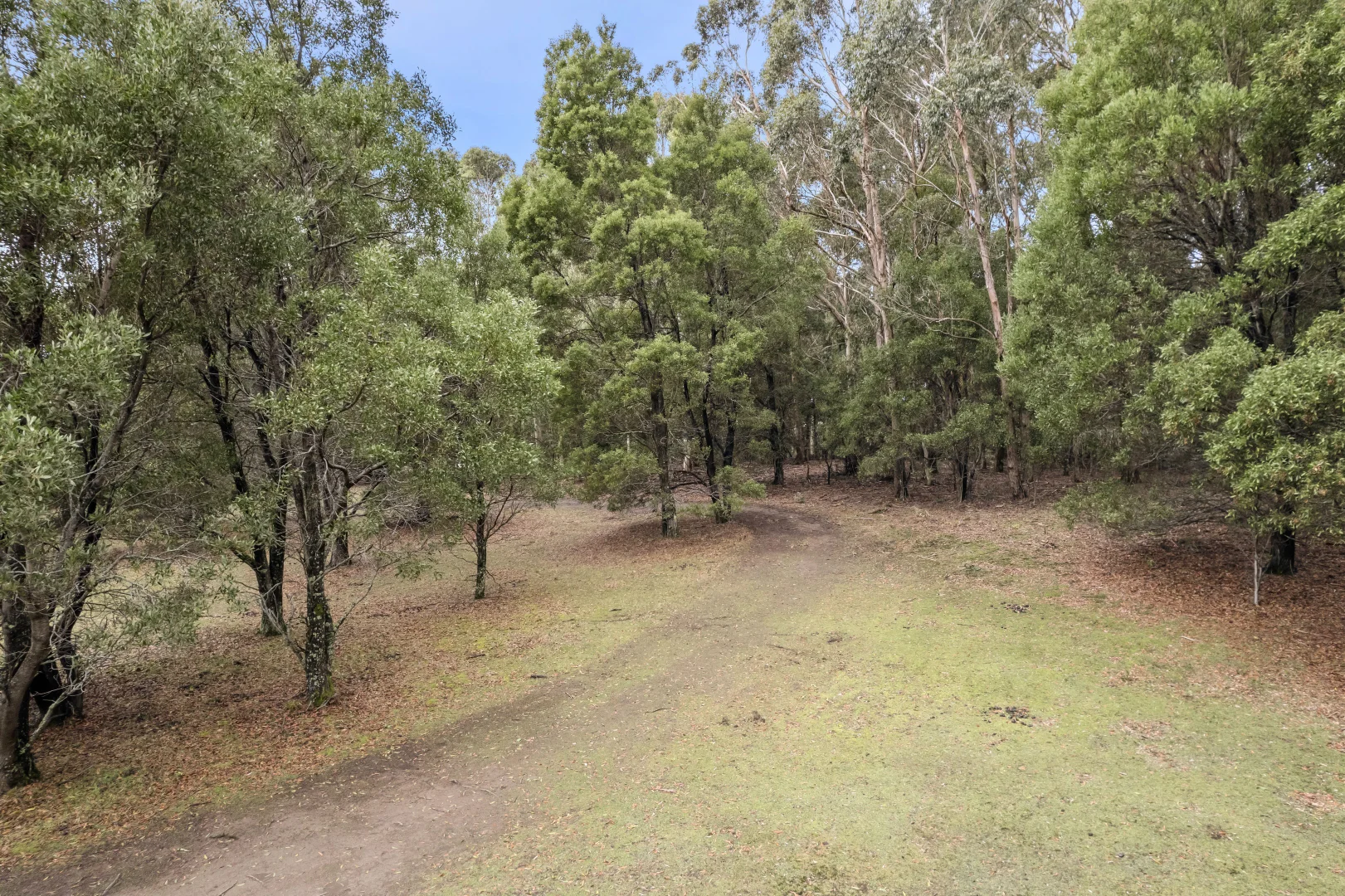 Additional image 4 of 6 Mullens Road, Trentham VIC 3458
