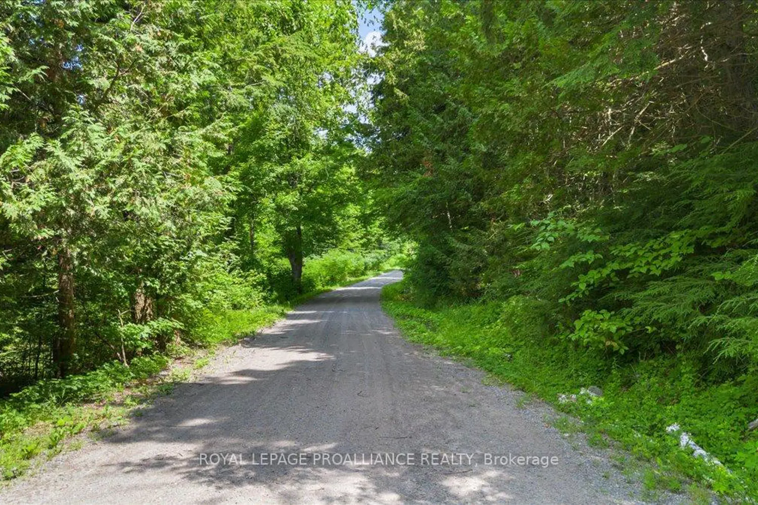 Additional image 11 of 0 Rapids Court