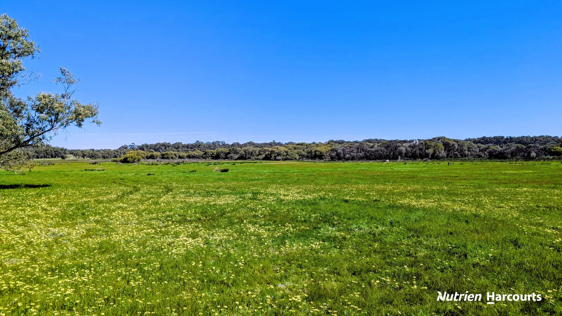 Additional image 22 of Lot 52 Cowalla Road, Cowalla WA 6503