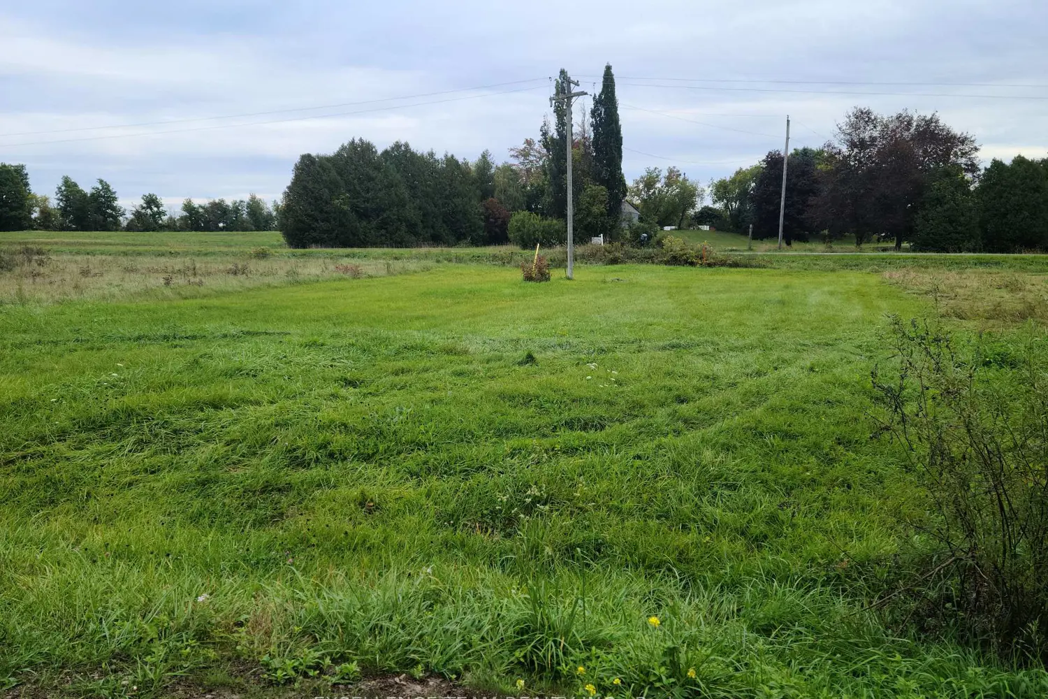 Additional image 3 of Lot #11 Ross Park Road