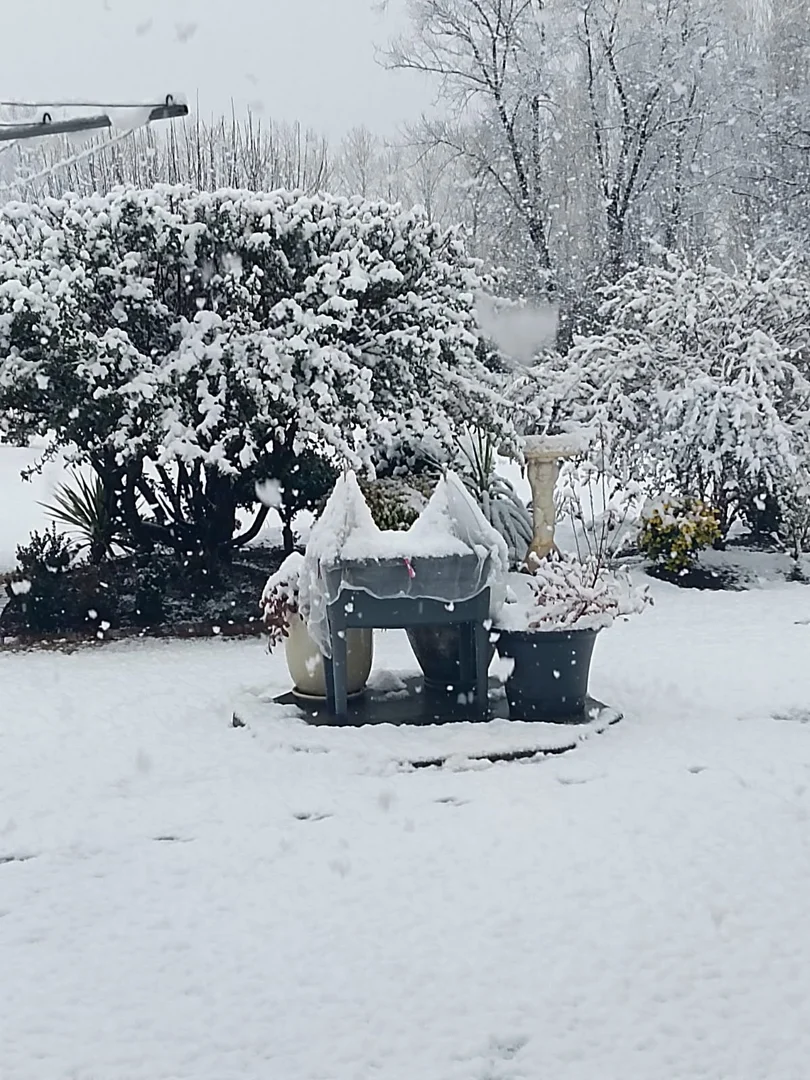 Additional image 26 of 14 Railway Street, Glencoe NSW 2365