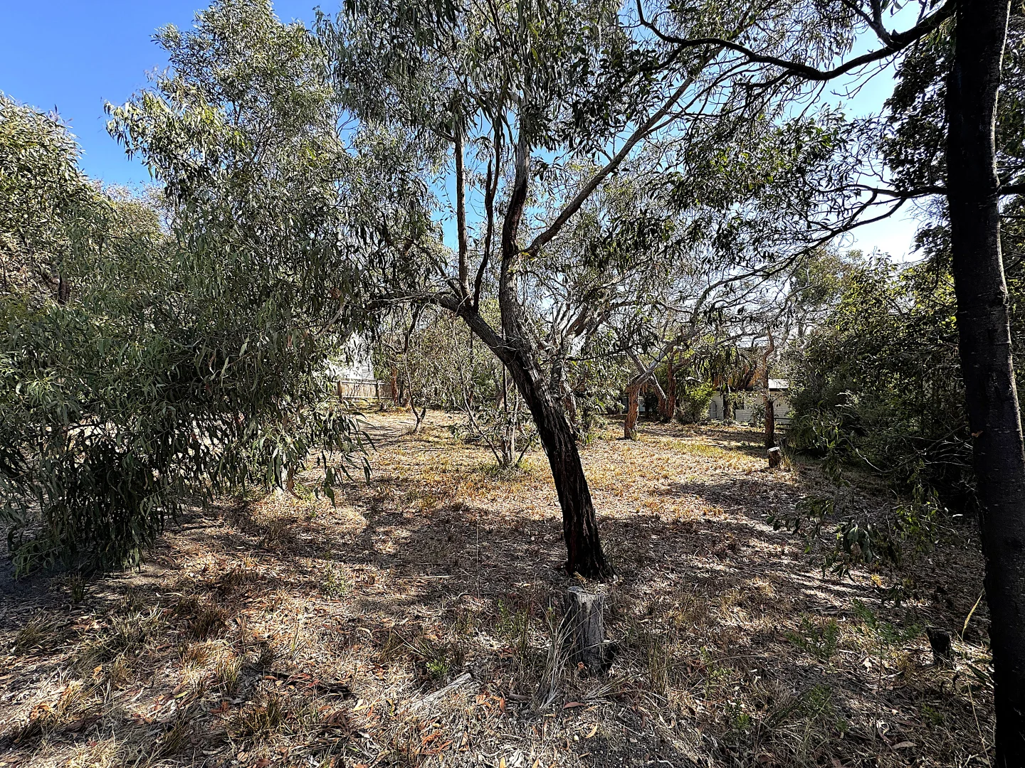 Additional image 6 of 47 Parker Street, Anglesea VIC 3230