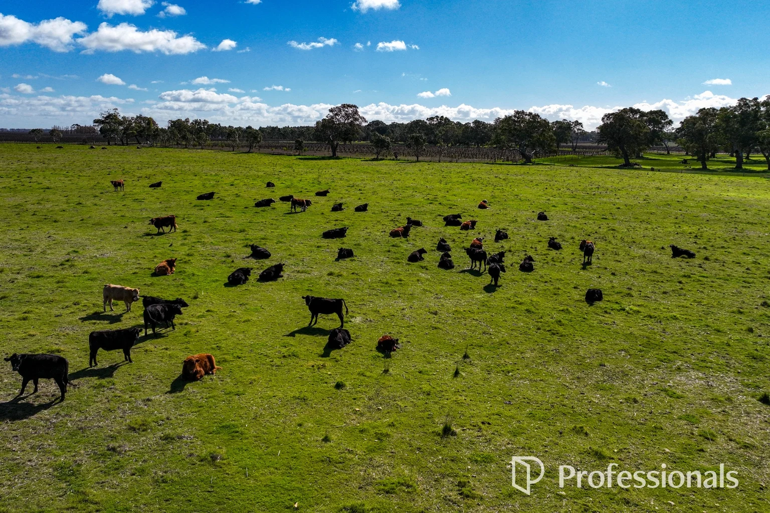 Additional image 2 of Lot 439 Richardson Road, Coonawarra SA 5263