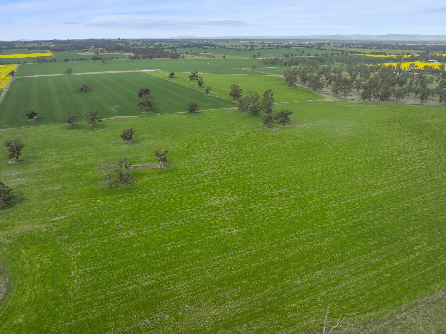 Additional image 12 of 800 Bridge Road, Caniambo VIC 3630