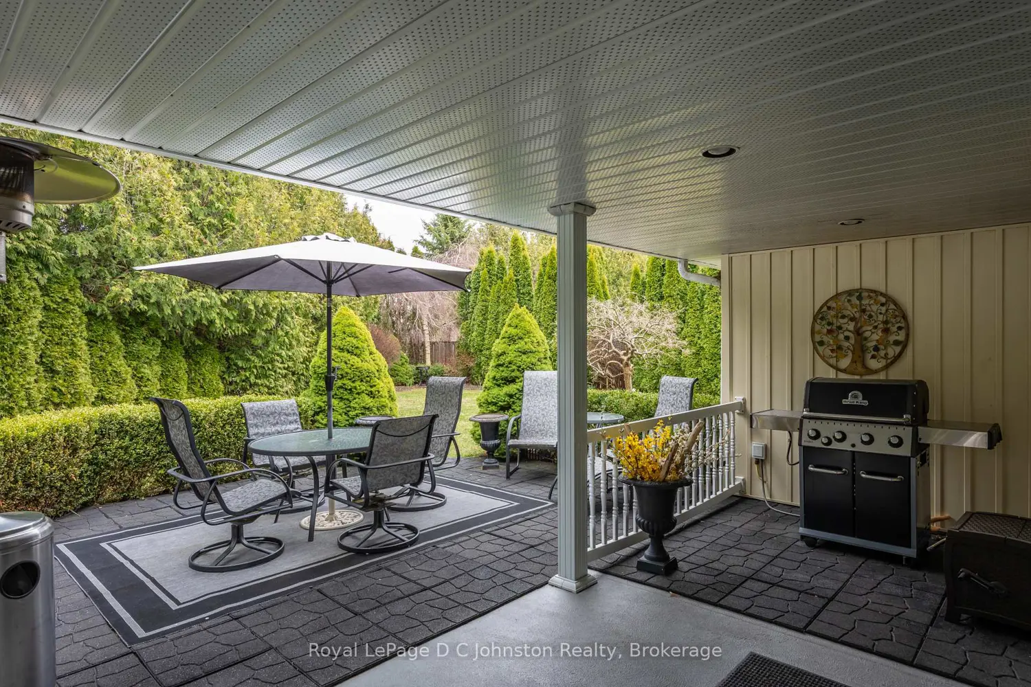 541 Meadow Lane photo 2