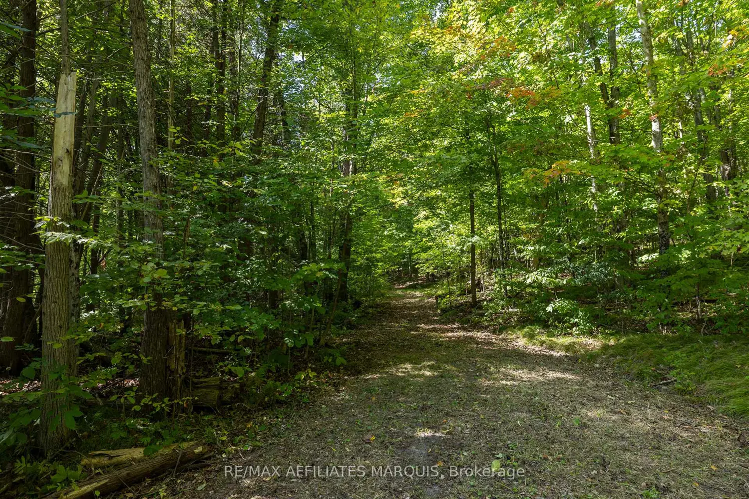 Additional image 4 of 19112 Hwy 7 Highway