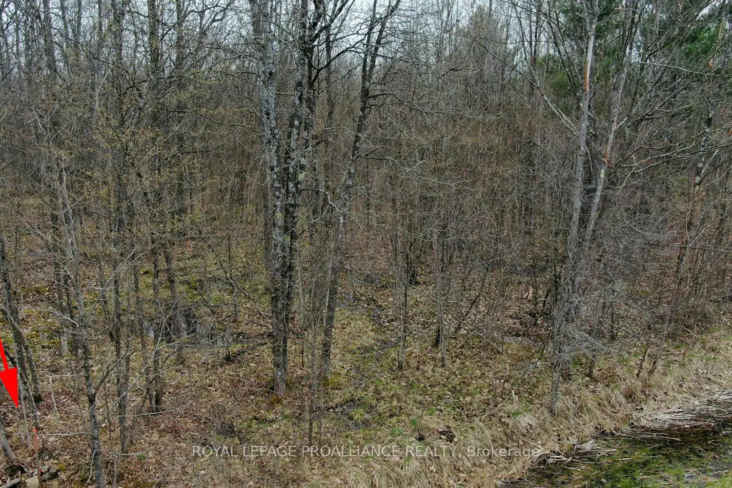 Additional image 7 of 0 Graham Lake Road