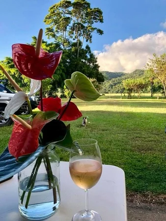 Additional image 21 of 18-20 Dagmar Street, Daintree QLD 4873