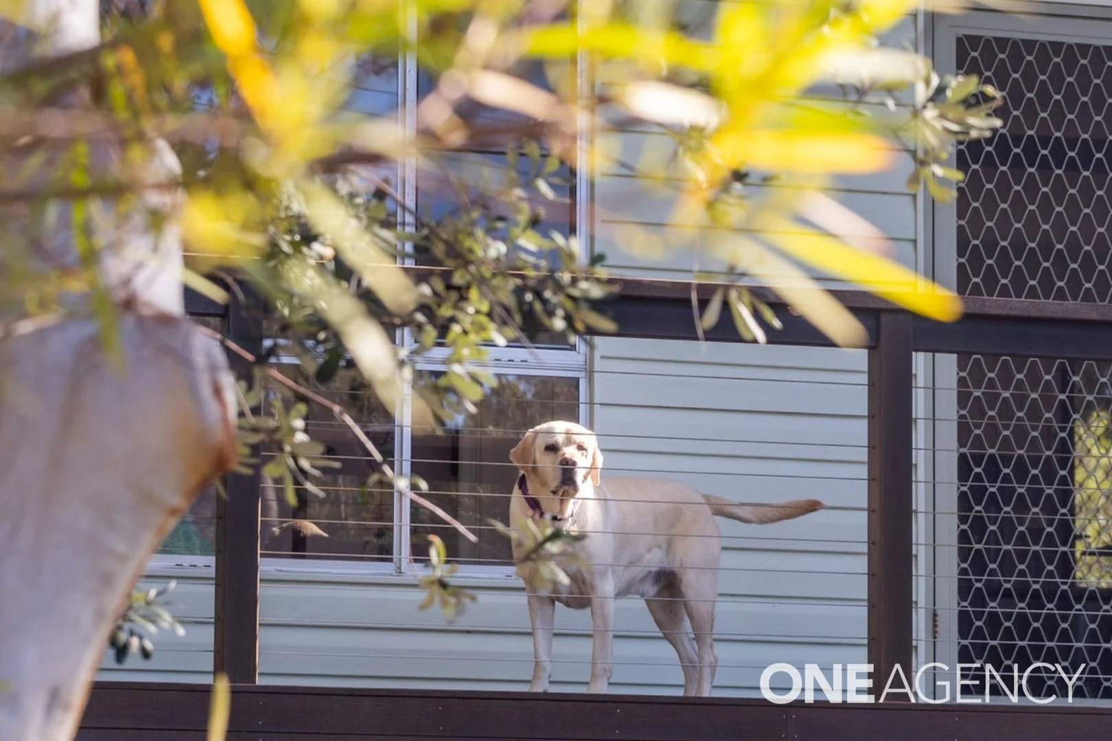 Additional image 10 of 3 Pine Street, Bendalong NSW 2539