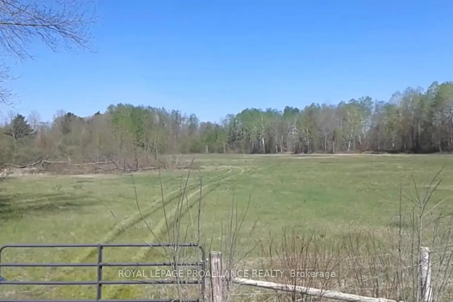 Additional image 17 of 1306 Sulphide Road