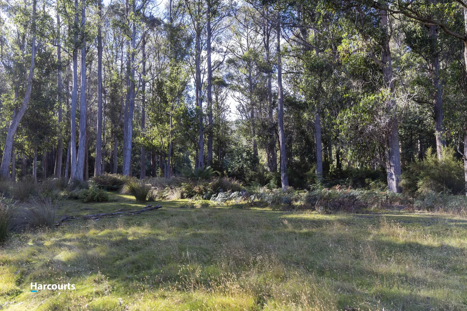 Additional image 13 of 90 Caseys Road, Nicholls Rivulet TAS 7112