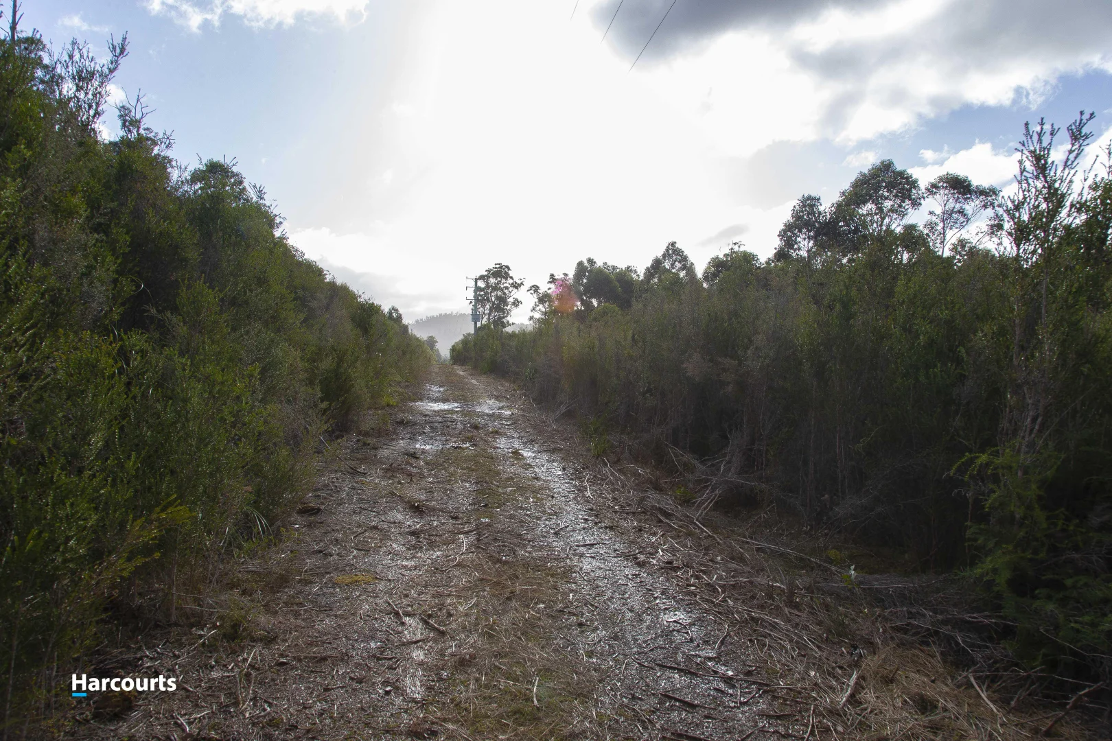 Additional image 14 of 623 Denison Road, Lonnavale TAS 7109