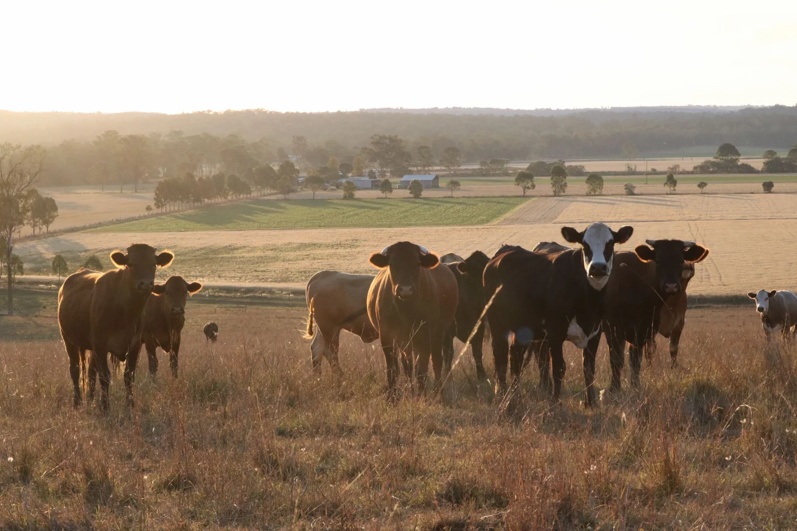Additional image 15 of 206 Mondure Crossing Road, Glan Devon QLD 4615
