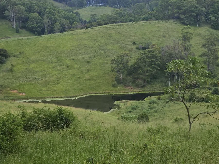 Additional image 9 of 113 Antimony Road, Neerdie QLD 4570