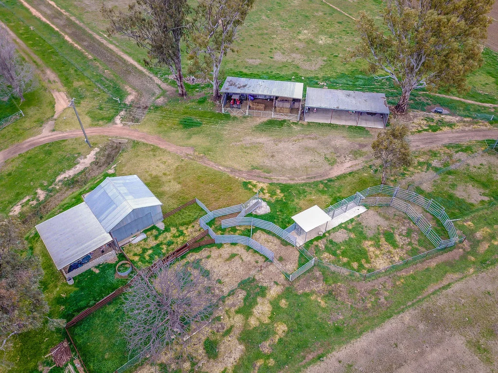 Additional image 19 of 'Kindimindi' 6176 Wakool Road, Wakool NSW 2710