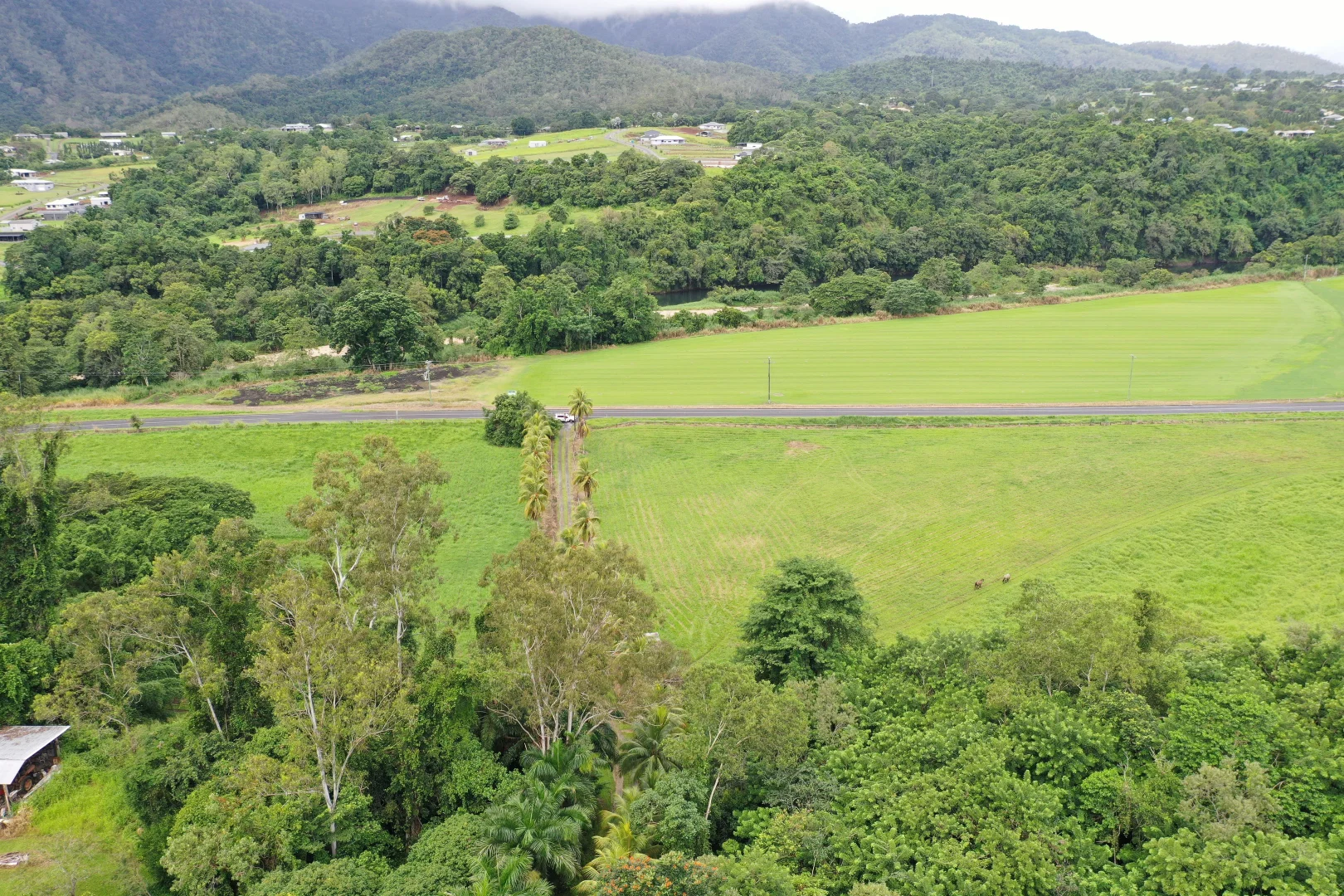 Additional image 3 of Gillies Range Road, Little Mulgrave QLD 4865