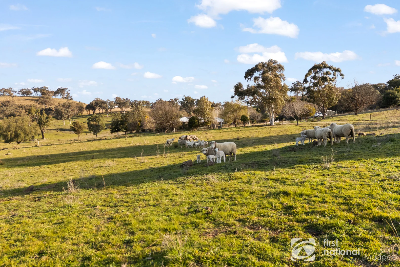Additional image 3 of 2654 "Moonshine", Lue Road, Lue, Mudgee NSW 2850