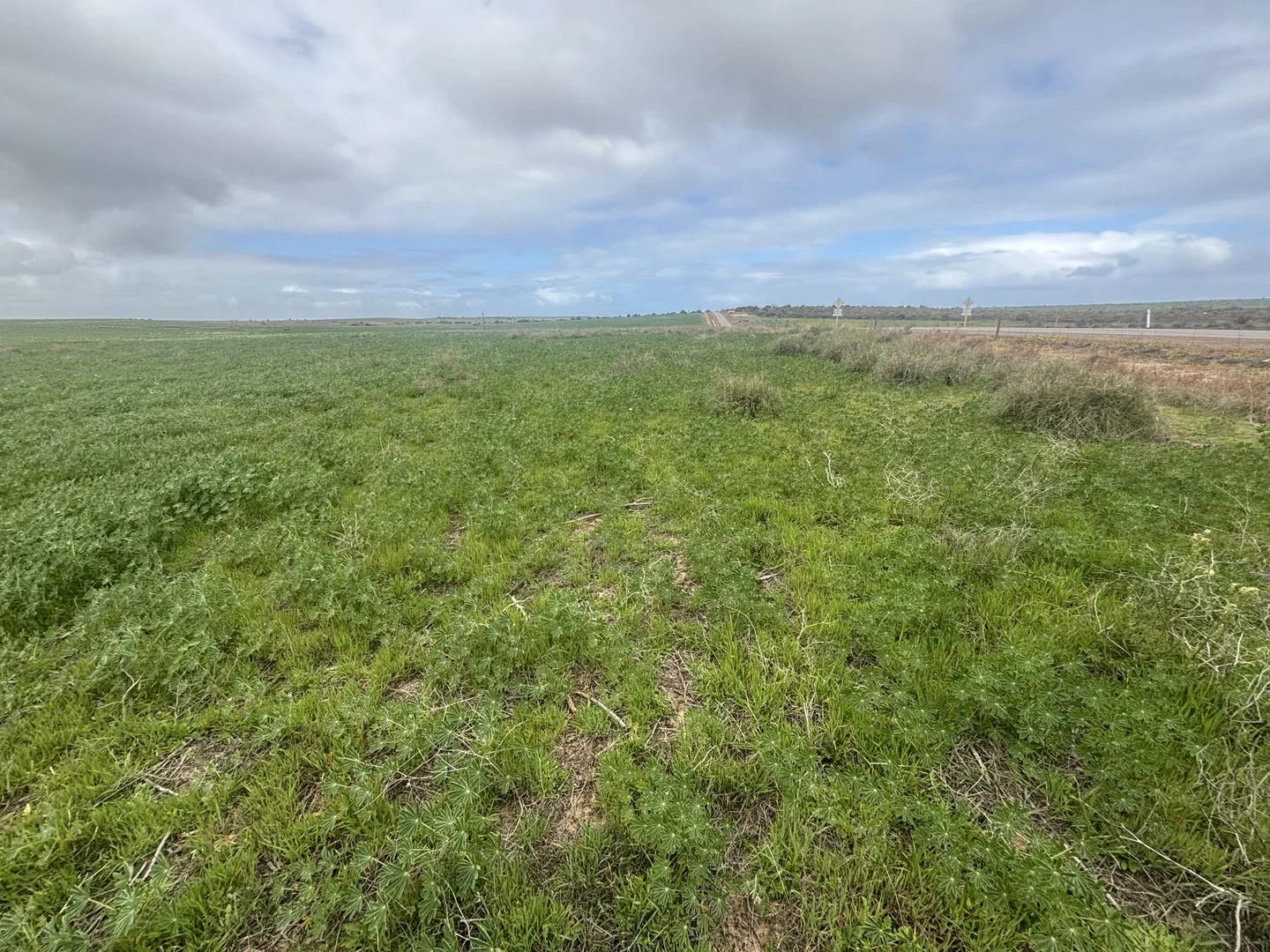 Lot 17 White Cliffs Road, Sandy Gully WA 6535