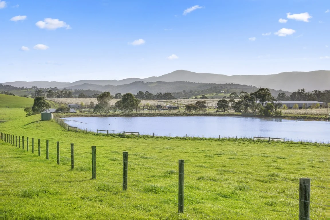 Additional image 8 of 737 Maroondah Highway, Coldstream VIC 3770