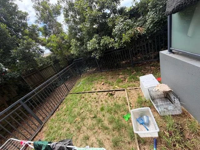 Additional image 11 of 51/2 Bouvardia Street, Asquith NSW 2077