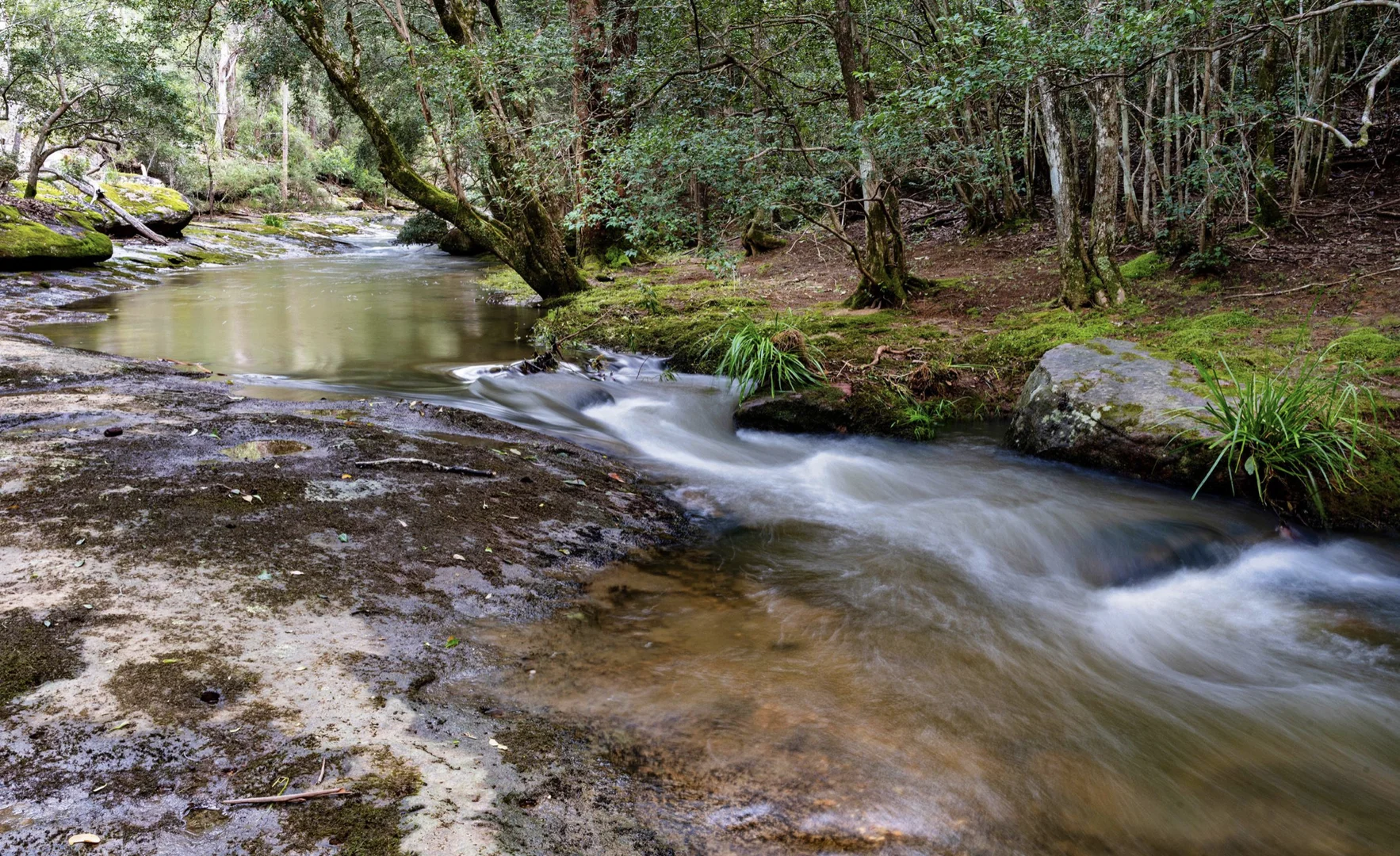 Additional image 38 of 194 Bendeela Road, Kangaroo Valley NSW 2577
