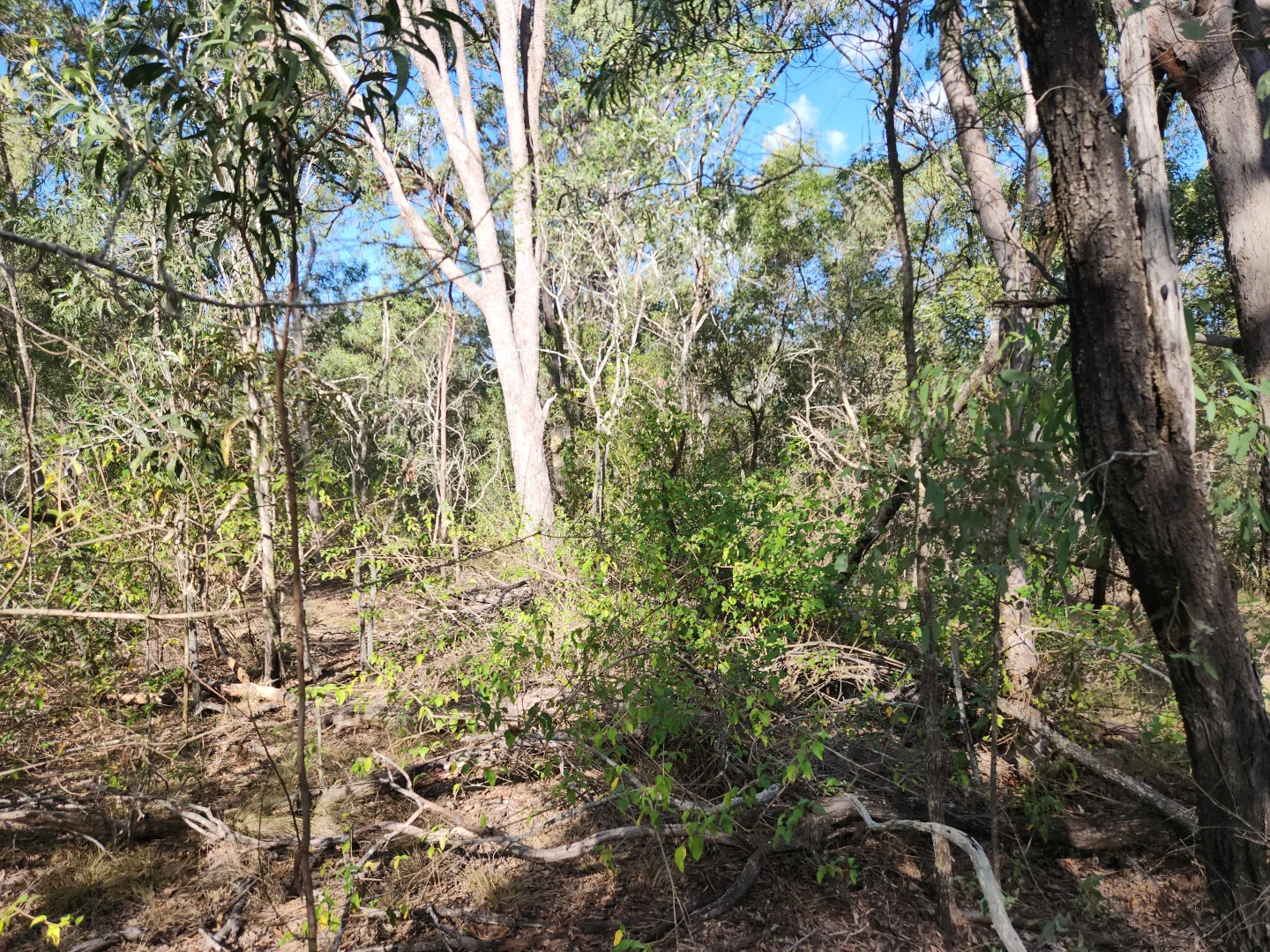 Additional image 7 of Lot 5 Duckpond Road, Moolboolaman QLD 4671