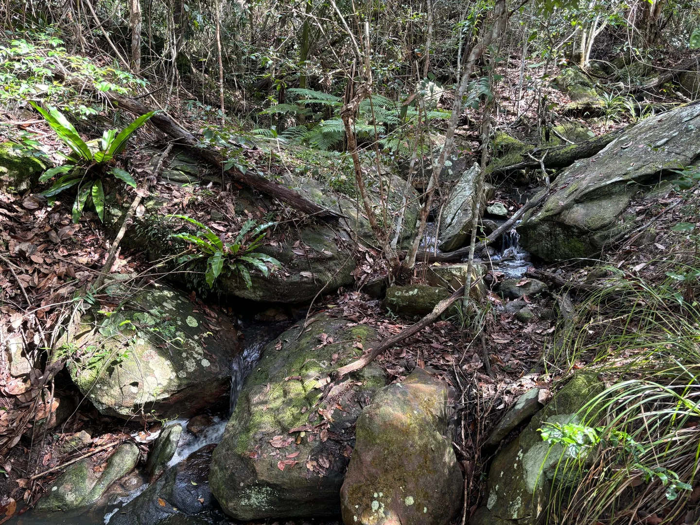 Additional image 25 of Ashby NSW 2463