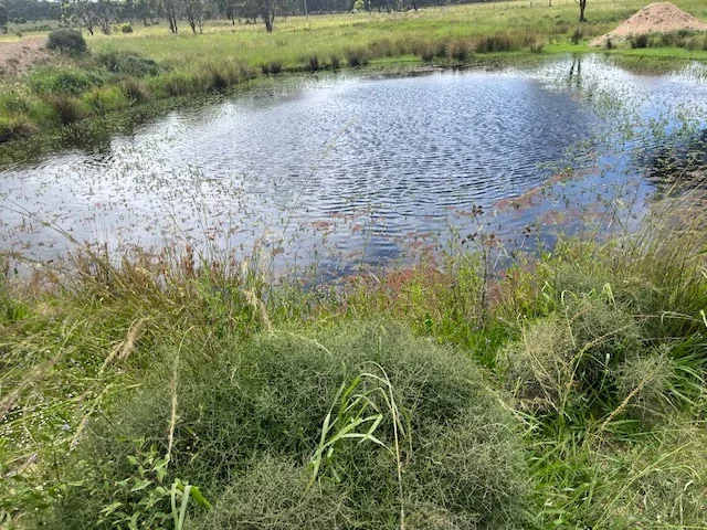 Additional image 7 of Proposed Lot 3 Cactus Ridge Road, Cunningham QLD 4370