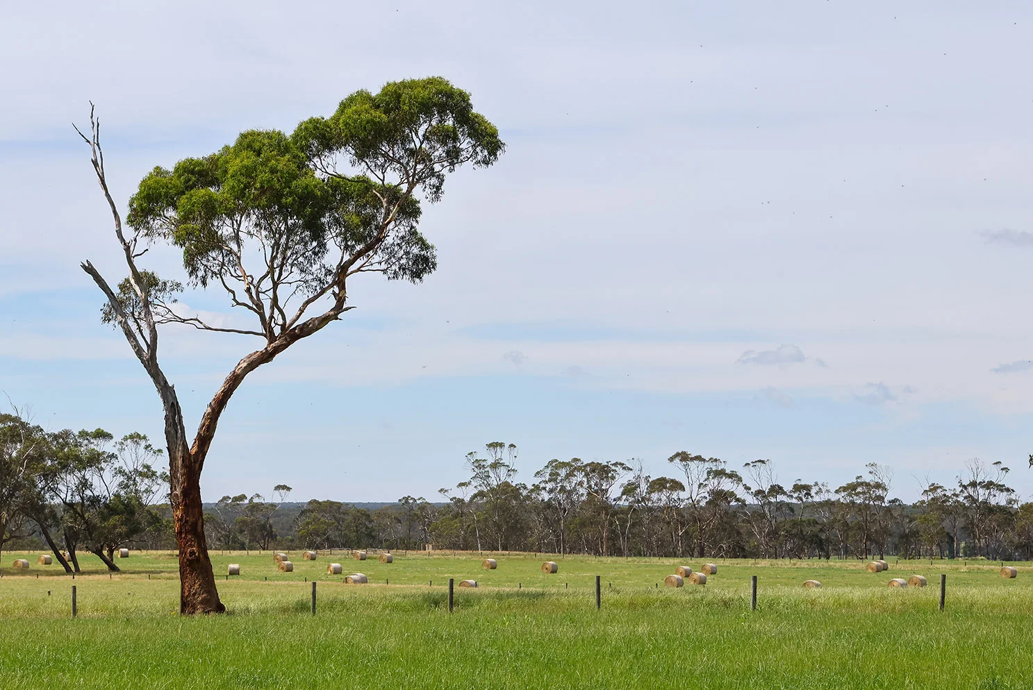 Additional image 3 of 211 Rollos Road, Panmure VIC 3265
