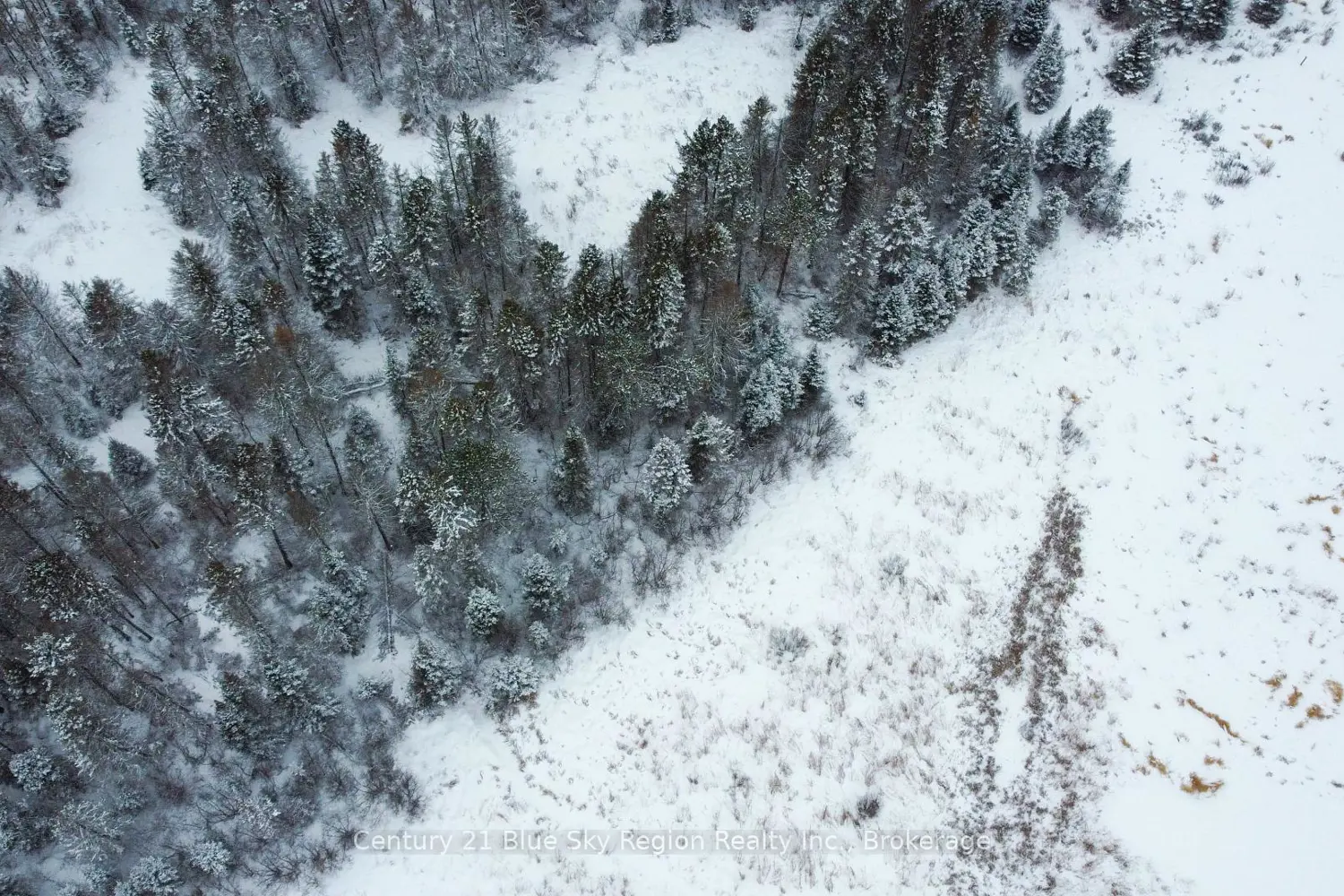 Additional image 6 of 1185 Corbeil Road