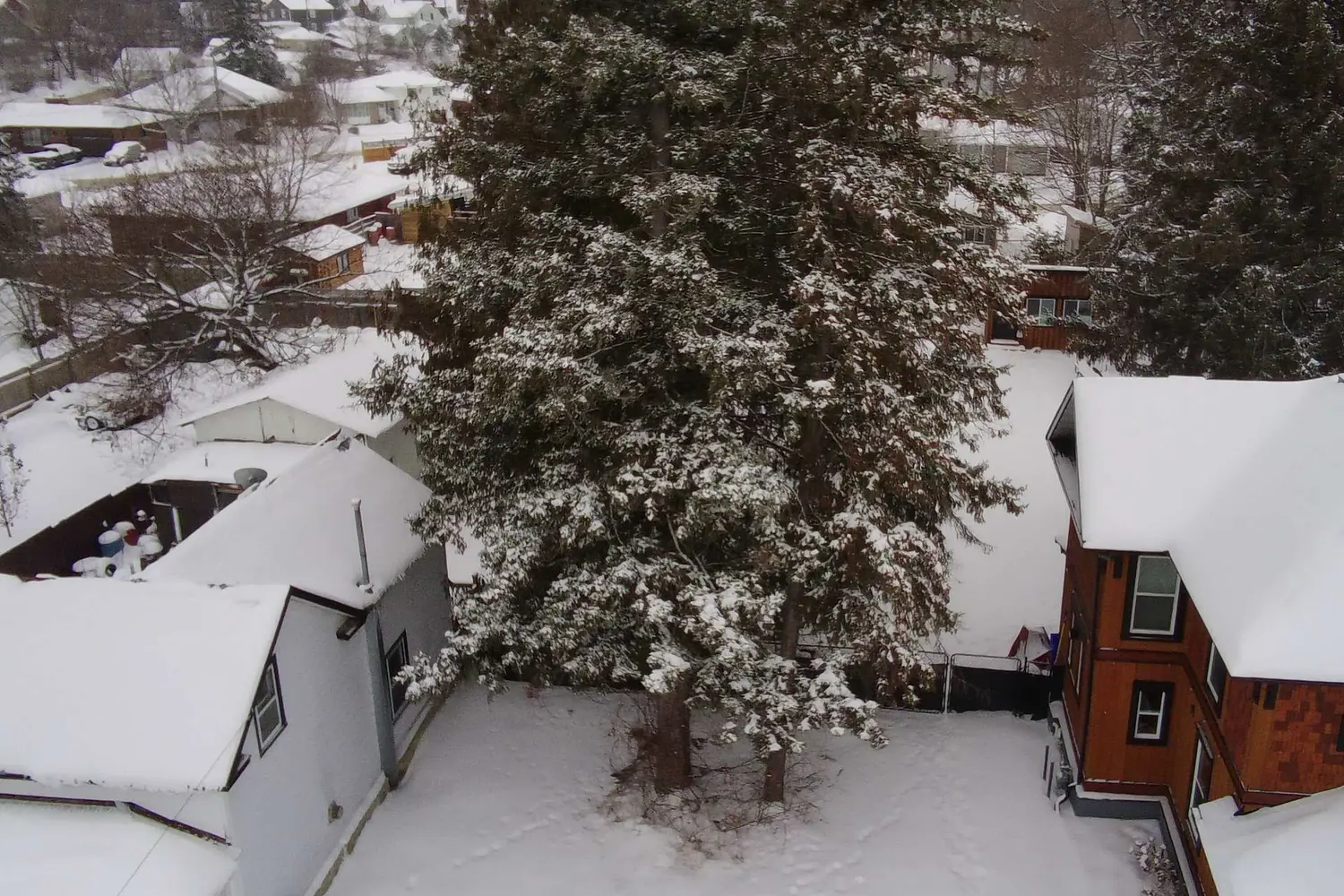 Additional image 4 of 250 Harrington Street