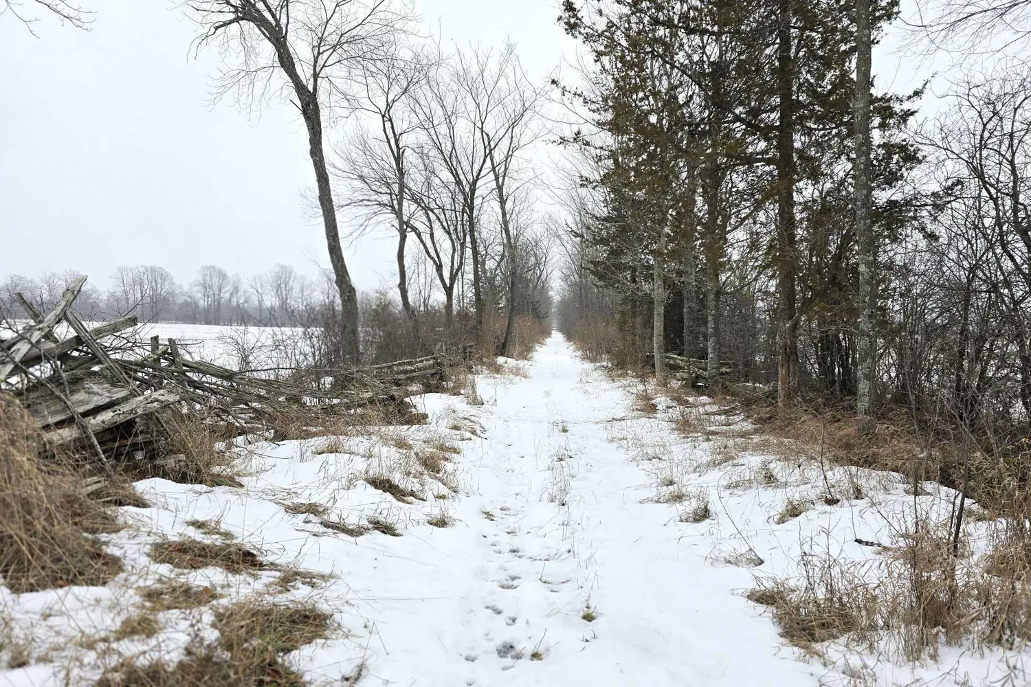 Additional image 13 of 0 Shannonville Road