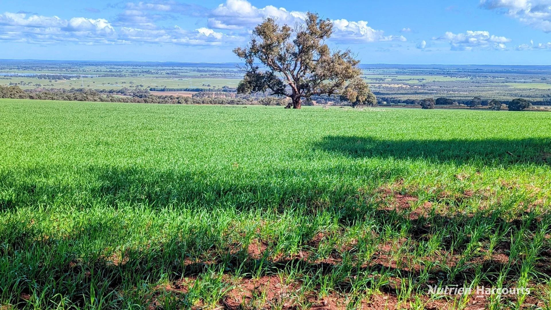 5428 Brand Highway, Boonanarring, Gingin WA 6503