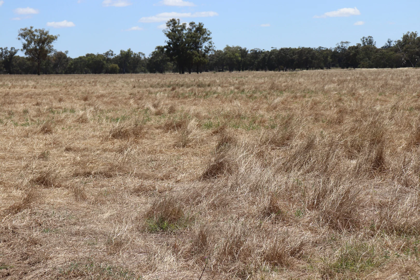 Additional image 23 of 72 Boorr Hill Road, Parkes NSW 2870