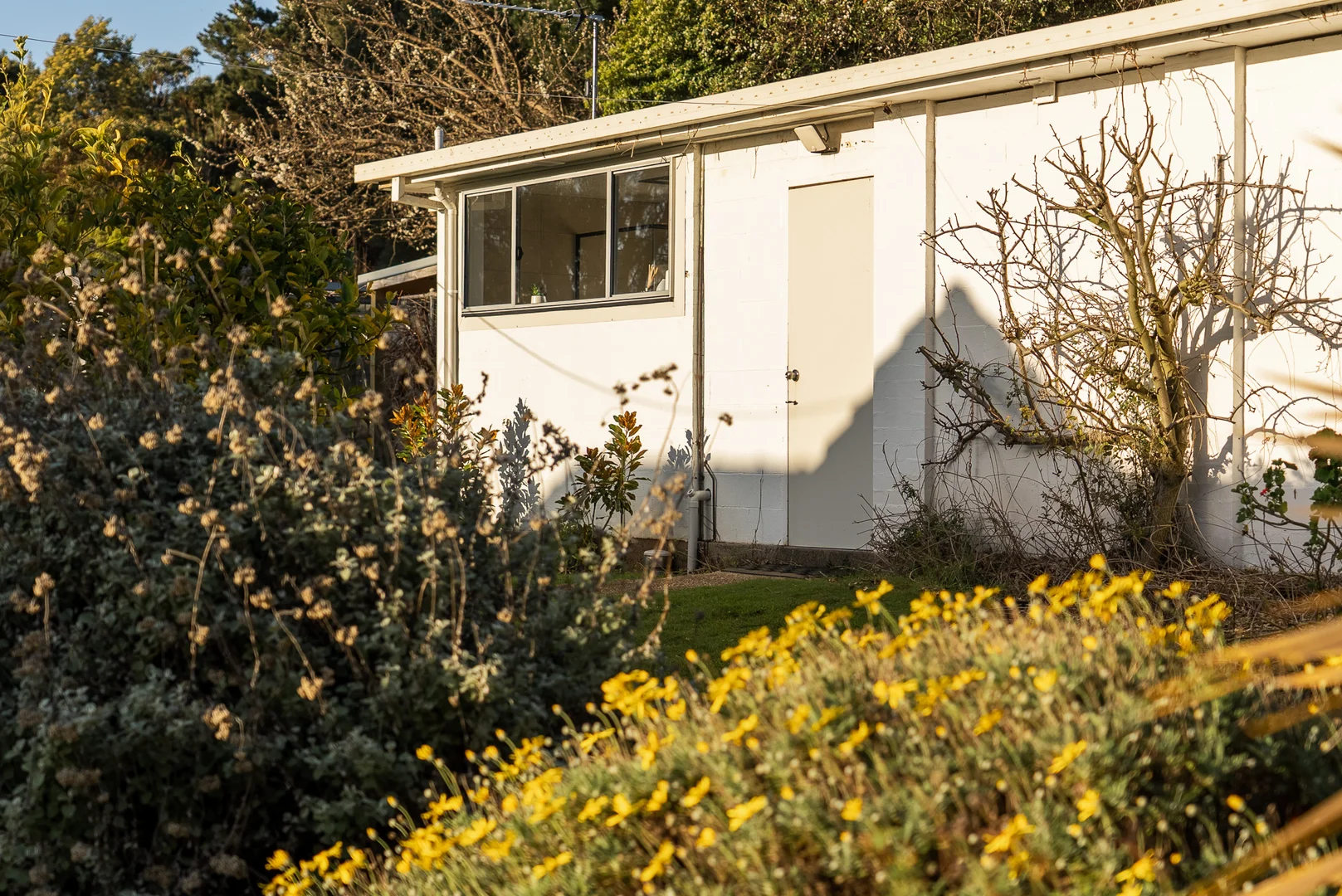 Additional image 21 of 9 Dry Street, Leith TAS 7315