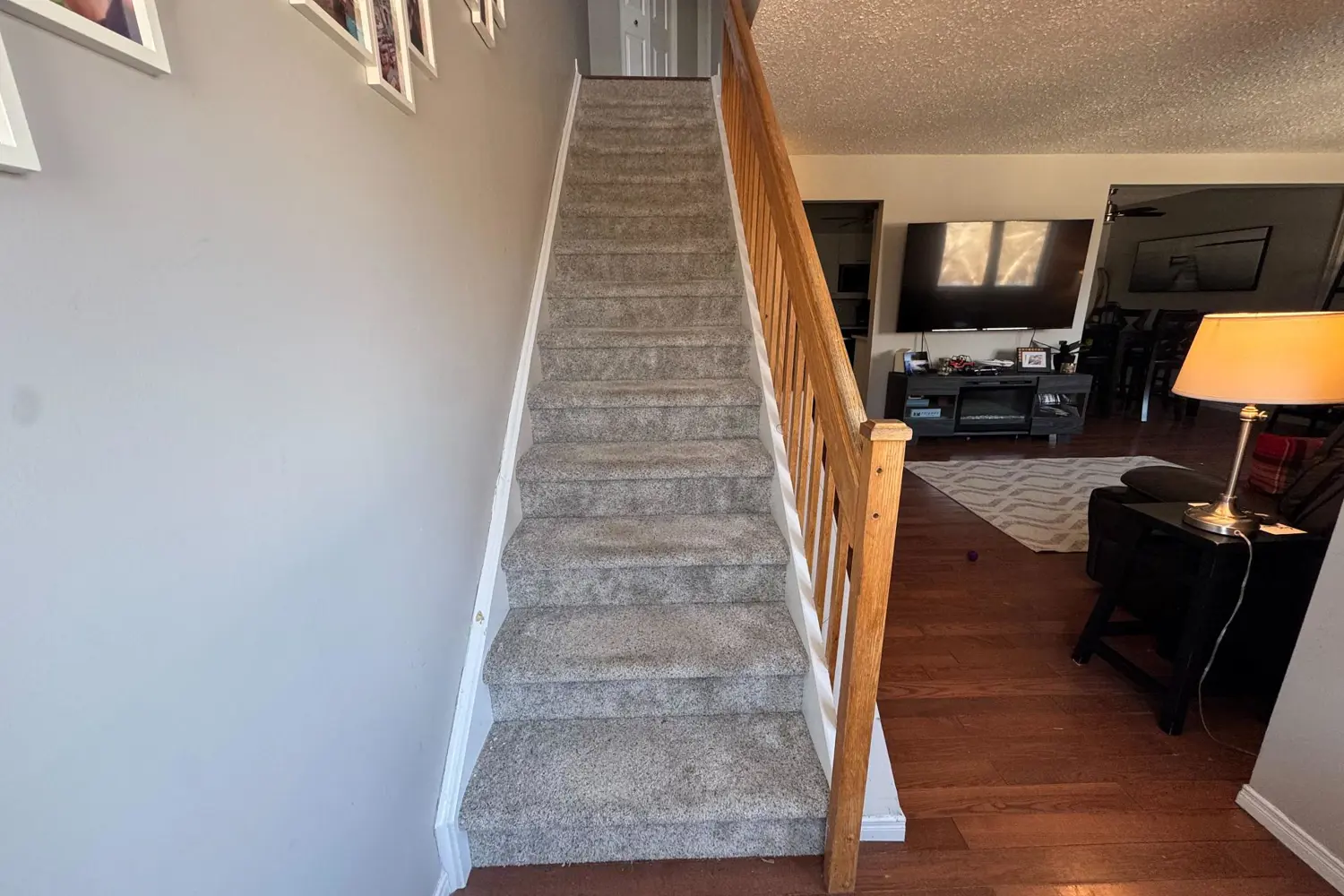 Additional image 17 of 315 Mullett Street 3