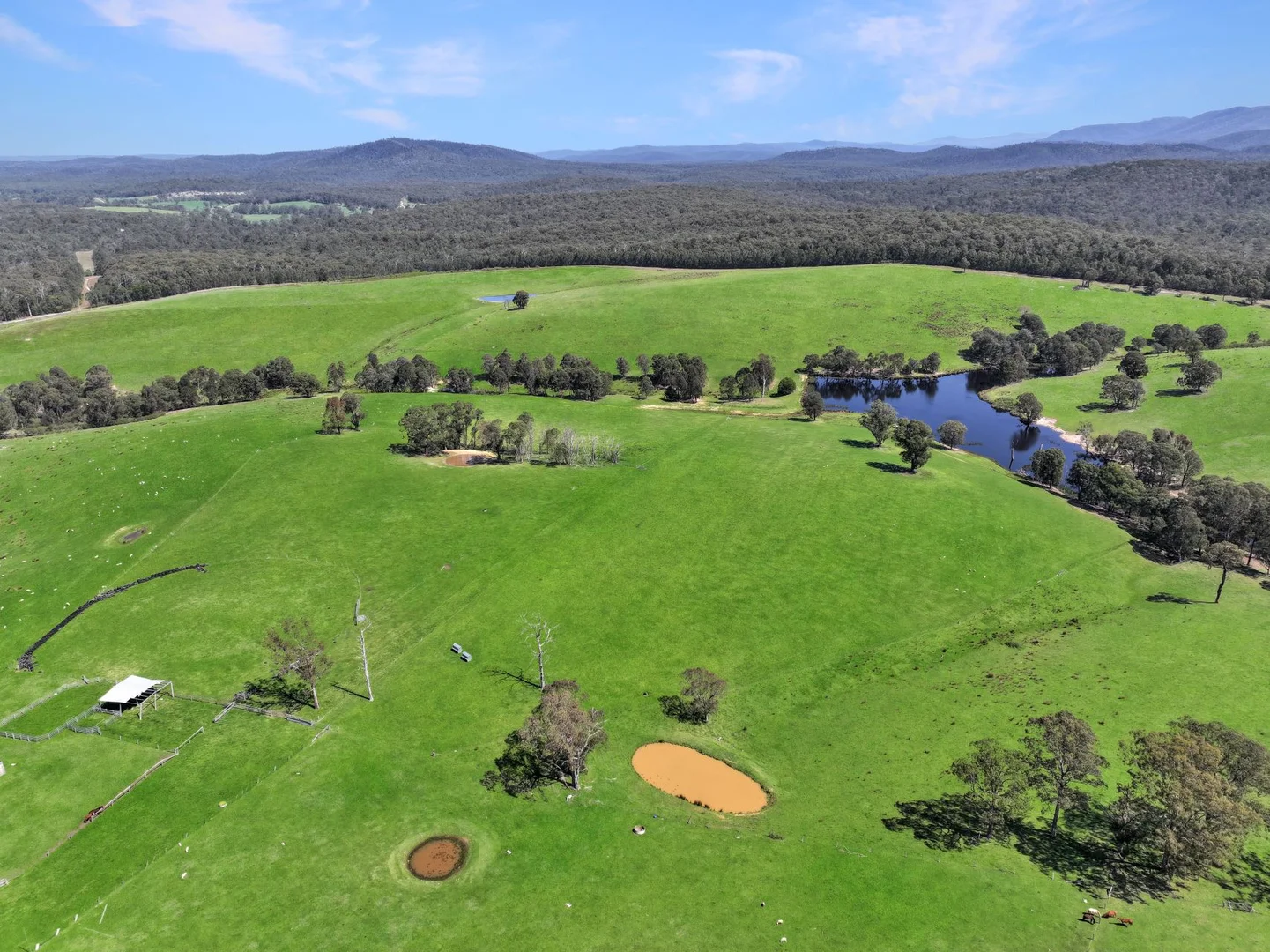 Additional image 22 of 151 Wattle Hill Road, Buchan South VIC 3885