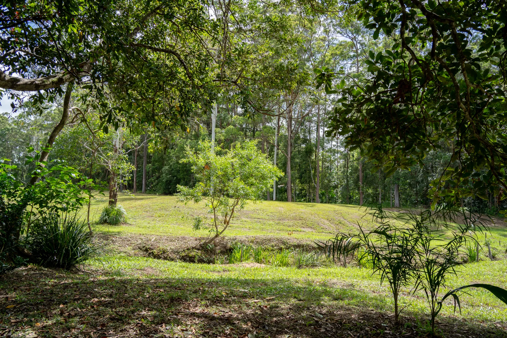 Additional image 15 of 32 Dunne Road, Glenview QLD 4553